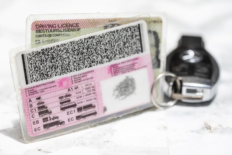 Driver's Licence Renewal
