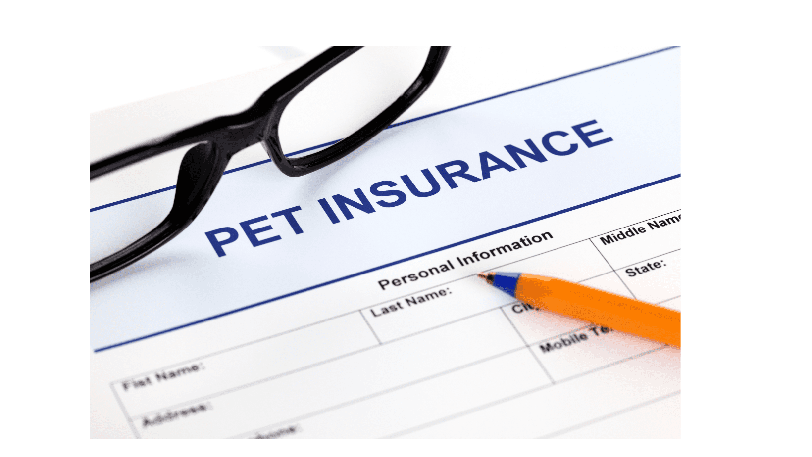 pet insurance