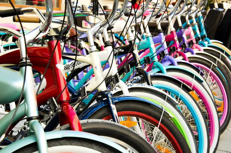 Students Receive Bicycles,