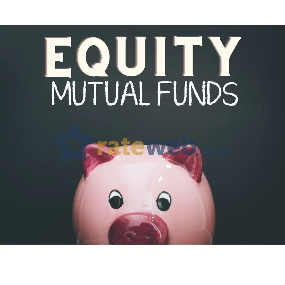How to Choose an Equity Mutual Fund in South Africa