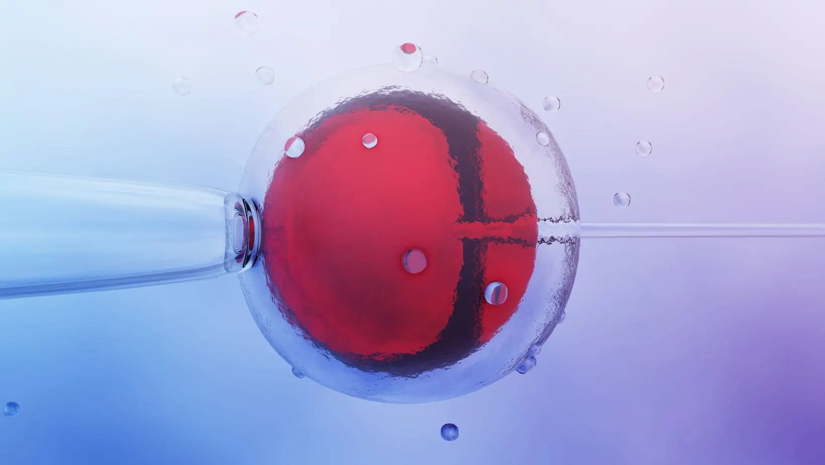 Unveiling 2023’s Top 8 Medical Aids: Discover Which South African Providers Cover IVF