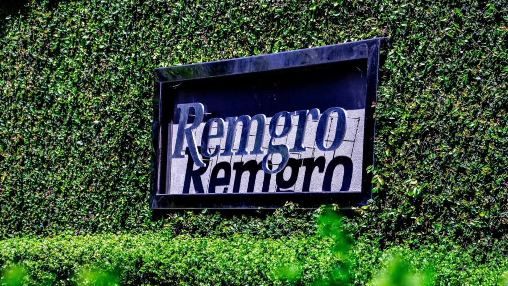 Remgro Reports Decline in Earnings Amid Global Economic Challenges
