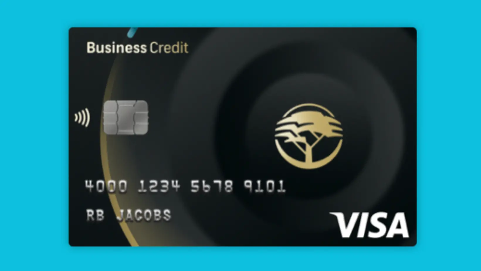 FNB Gold Business Credit Card Review 2024