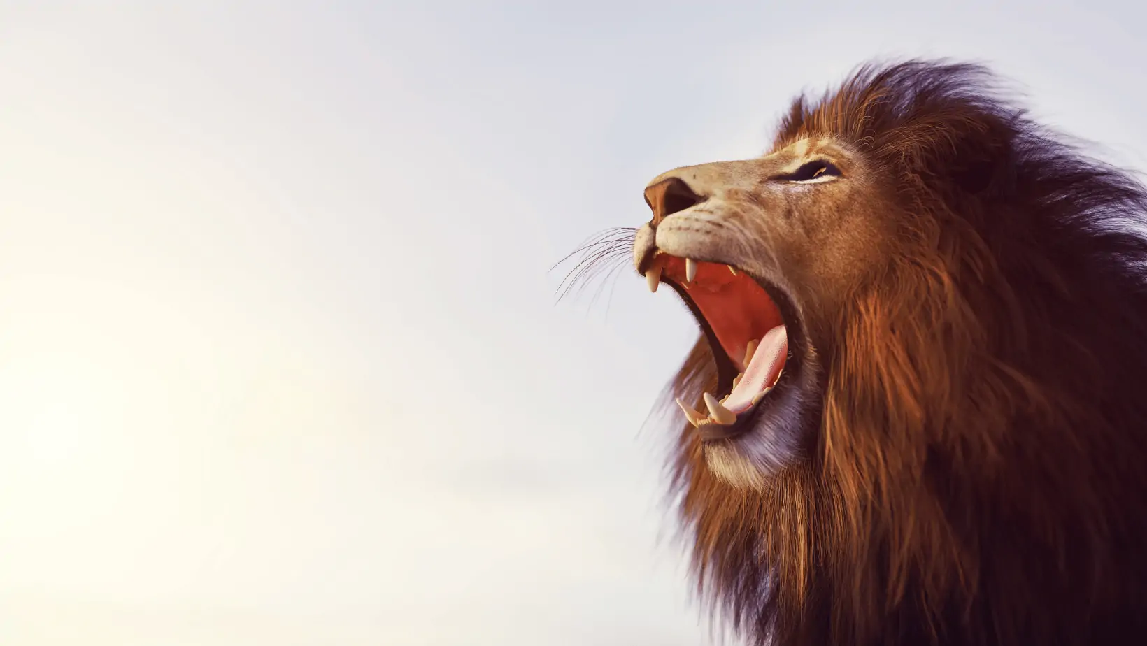 Gauteng Singing Talent Invited to Audition for Lion King Theatre Production