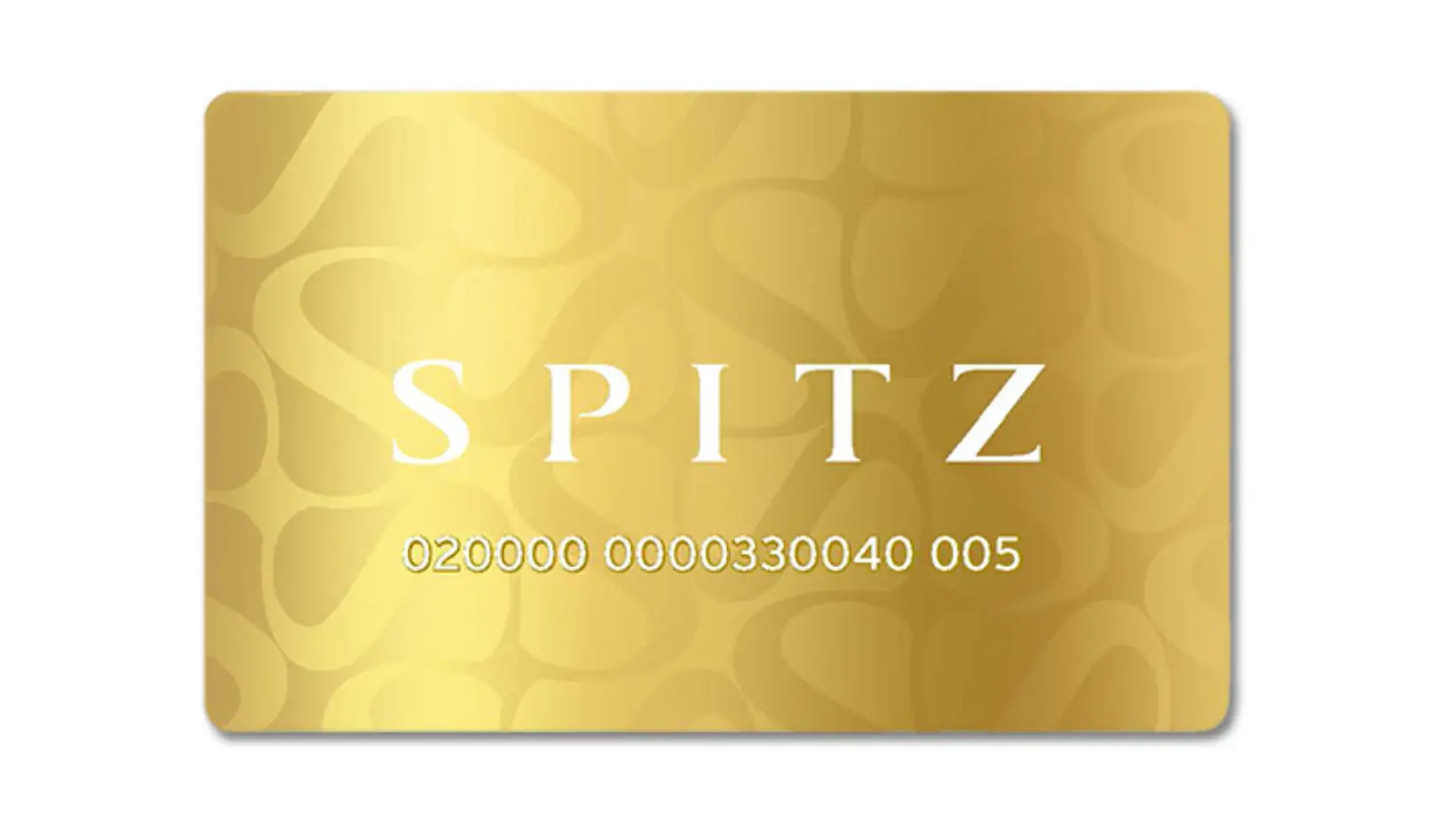 Spitz Account review 2024